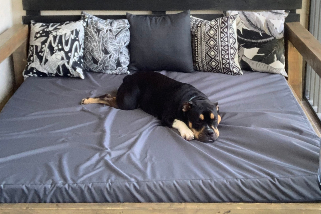 a cute photo of a customer's dog lounging on the waterproof mattress cover