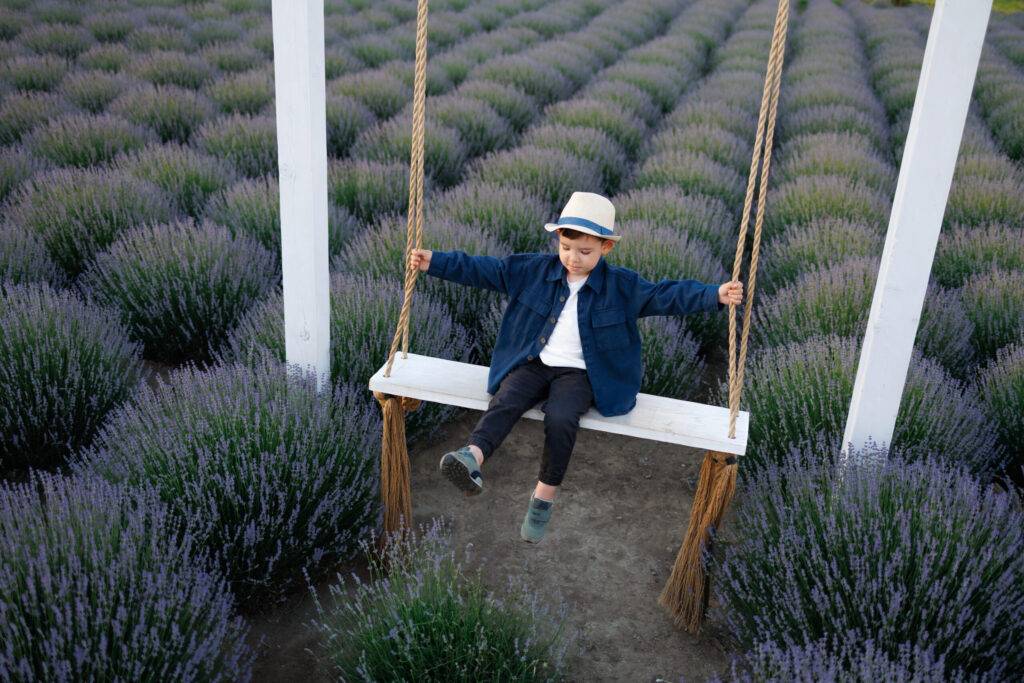 Little boy swinging on a rope swing in a lavender field boy on a garden swing - porch swing designs